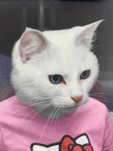 Load image into Gallery viewer, “Hello Kitten” Canvas Edition
